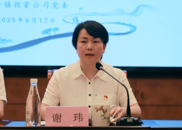 市古鎮(zhèn)投資公司召開正風(fēng)肅紀警示教育會